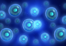 Stem Cell Therapy